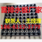 保定蓄排水板